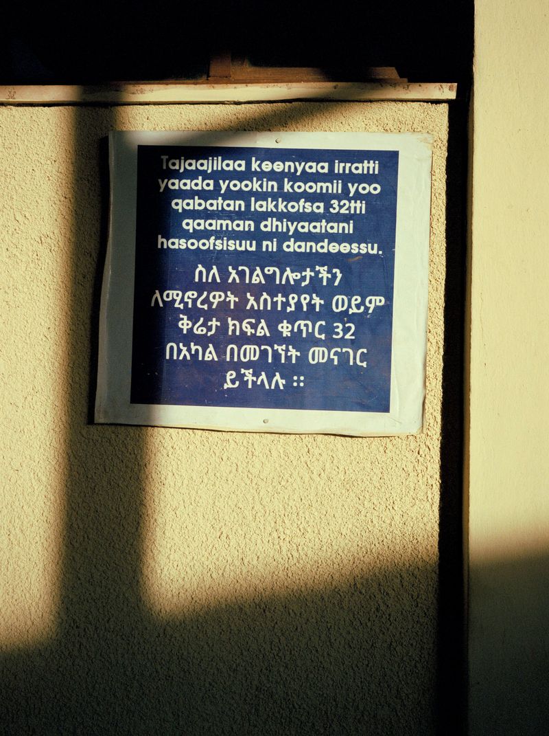 © Alicja Klitenik - Image from the Gardens of Healing photography project