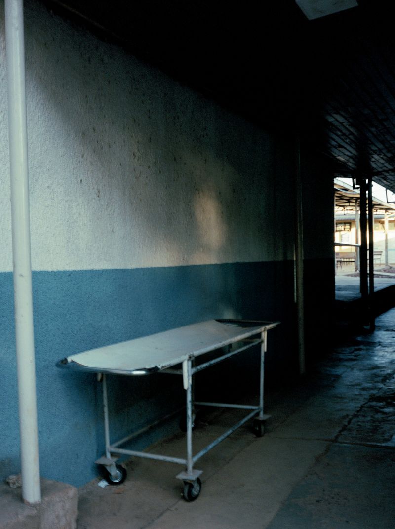 © Alicja Klitenik - Image from the Gardens of Healing photography project