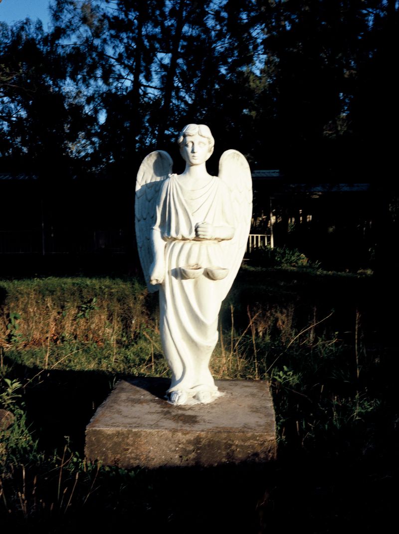 © Alicja Klitenik - Image from the Gardens of Healing photography project