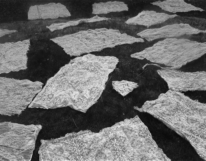 © Pia Guilmoth - Image from the Flowers Drink the River photography project