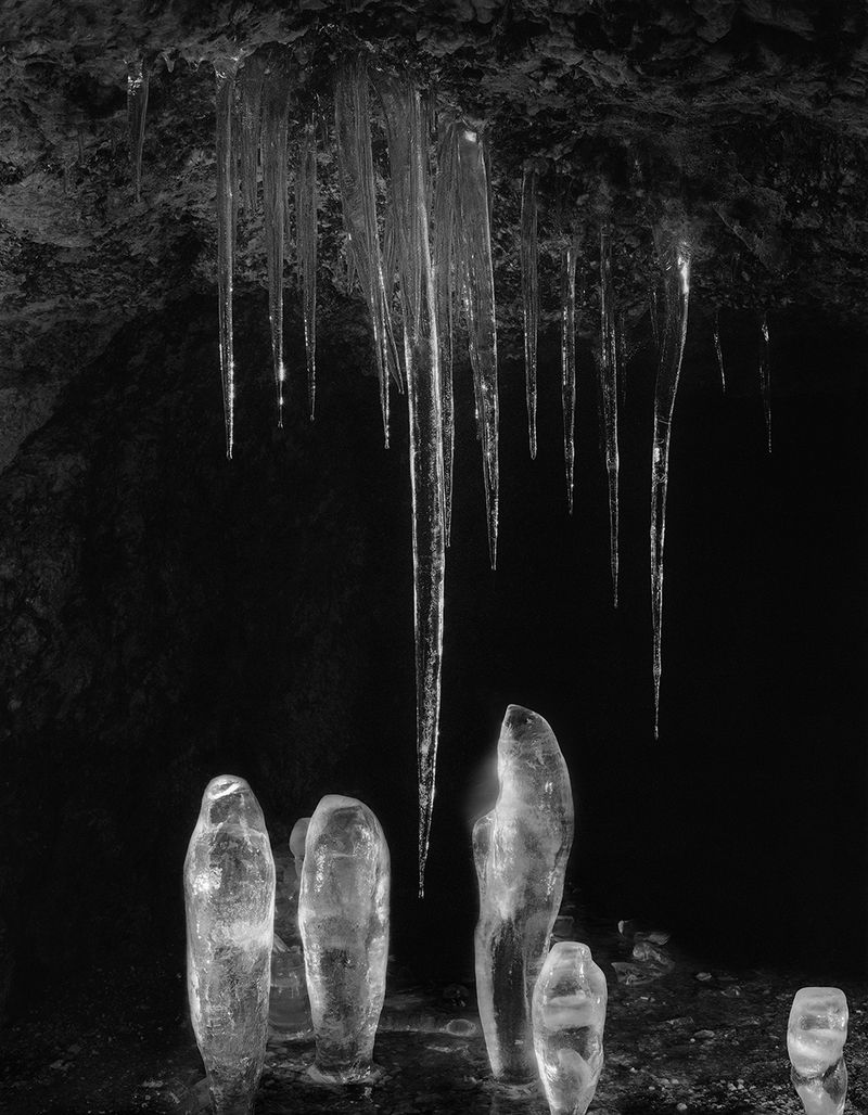 © Pia Guilmoth - Image from the Flowers Drink the River photography project