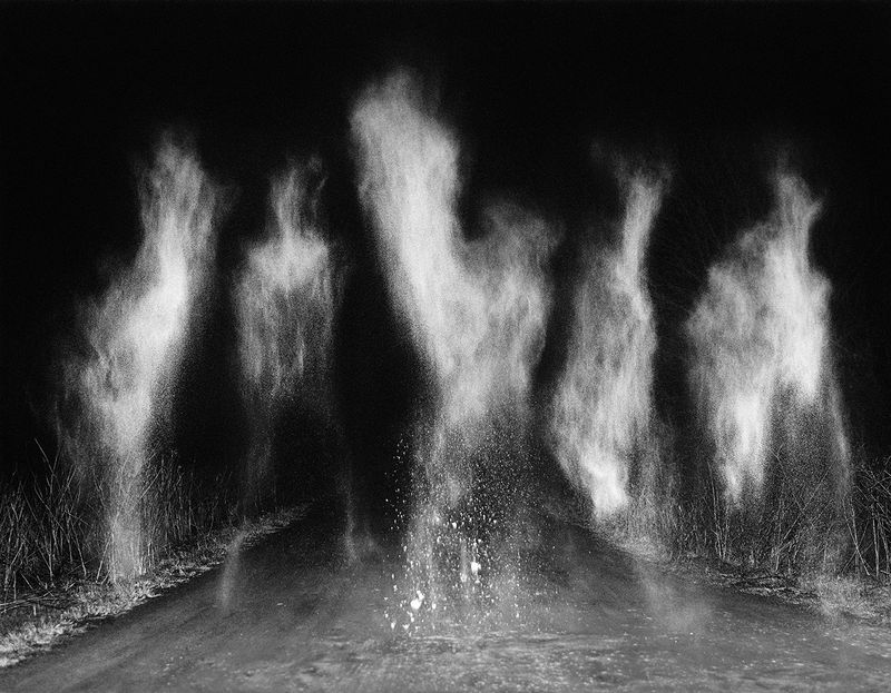 © Pia Guilmoth - Image from the Flowers Drink the River photography project