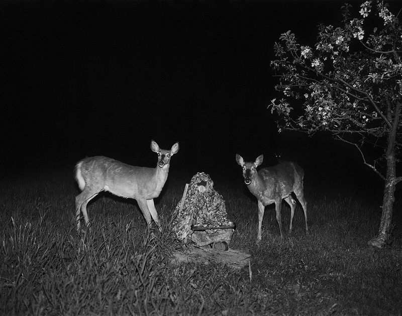 © Pia Guilmoth - Image from the Flowers Drink the River photography project