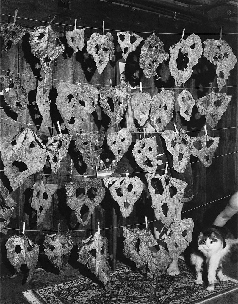 © Pia Guilmoth - Image from the Flowers Drink the River photography project