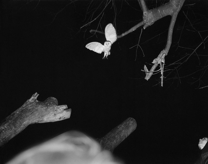 © Pia Guilmoth - Image from the Flowers Drink the River photography project
