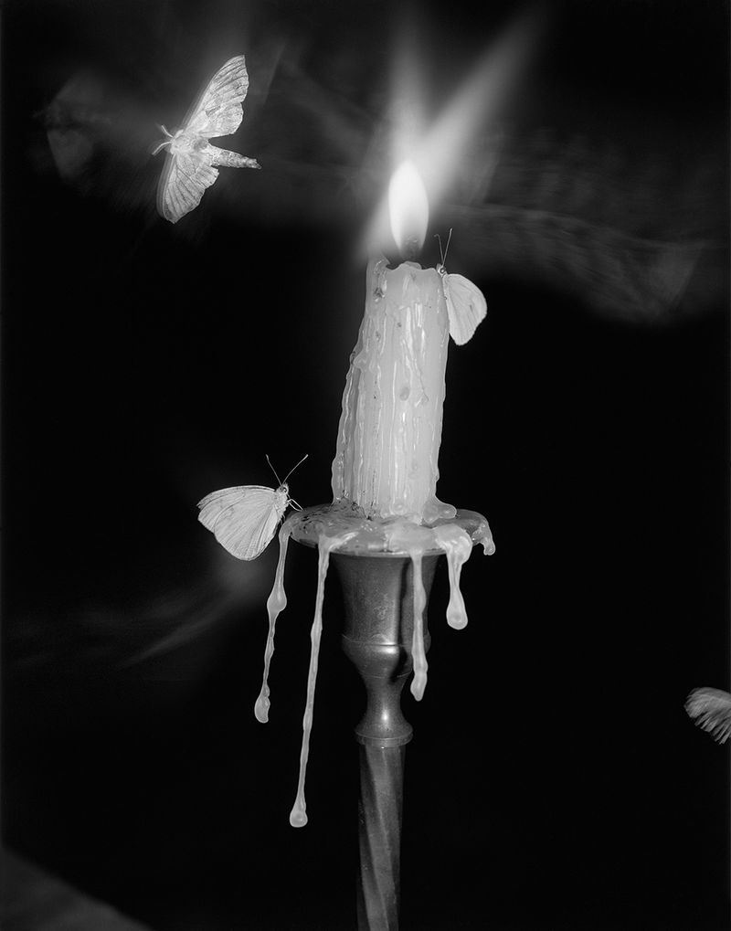 © Pia Guilmoth - Image from the Flowers Drink the River photography project