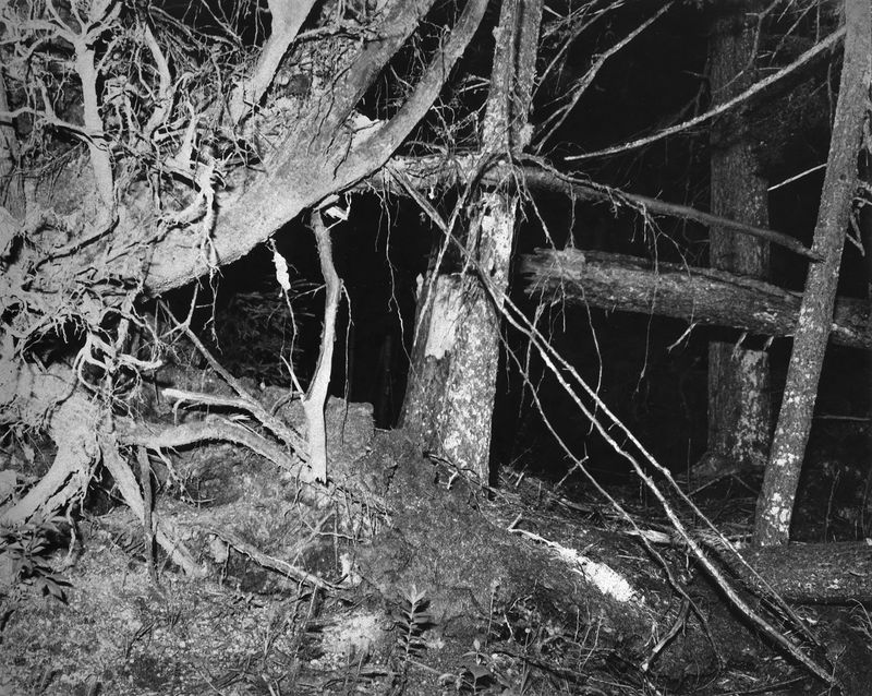 © Nika McKagen - The Grotto, 8x10" silver gelatin print on expired paper