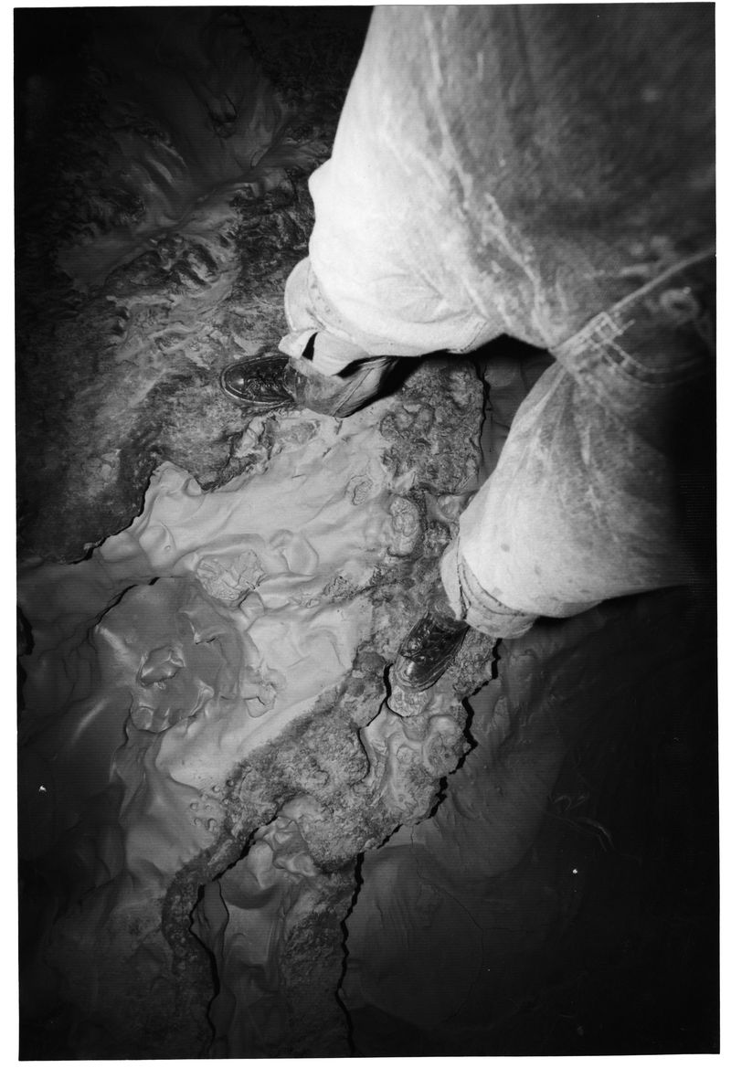 © Nika McKagen - perhaps a visitation tonight?, 6x9" pigment print