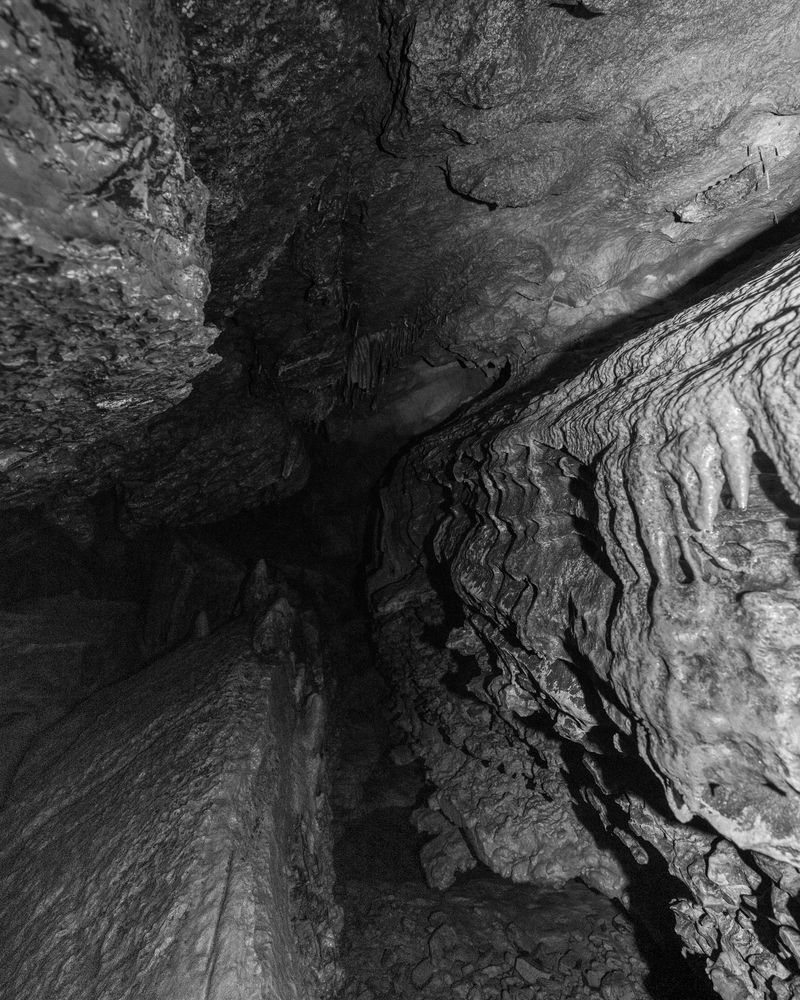 © Nika McKagen - Time ("the punctum is: he is going to die"), 4x5" silver gelatin print on expired paper