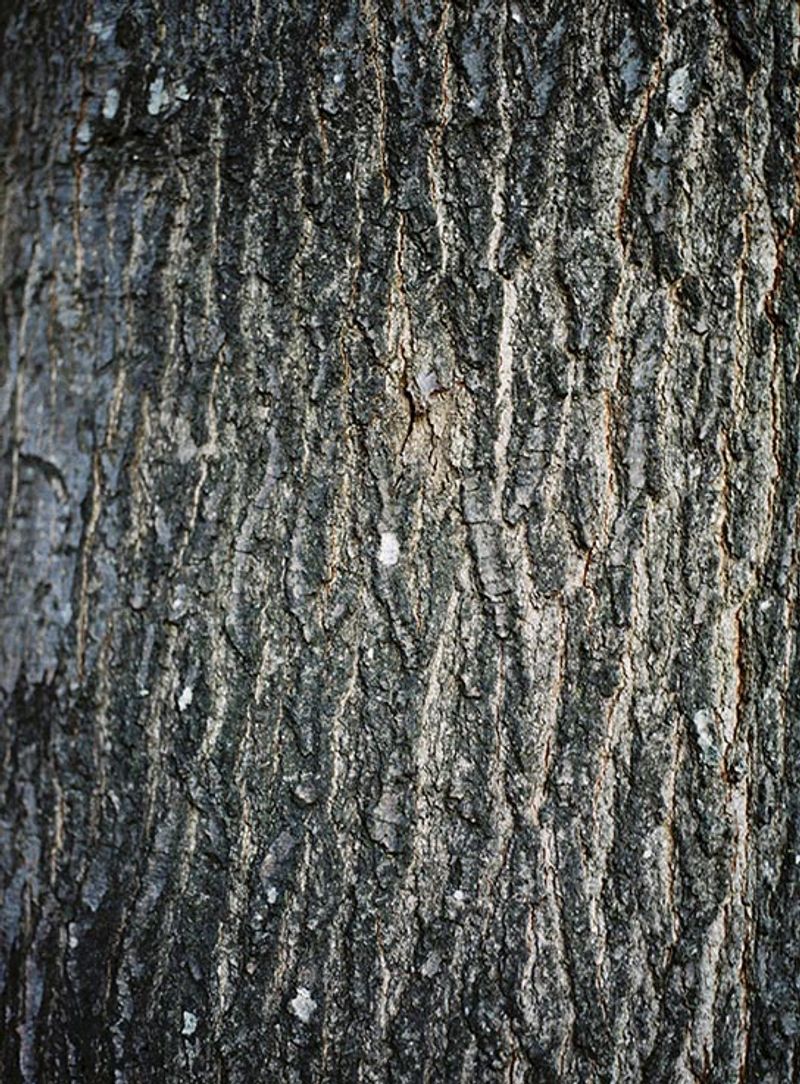 © Lidewij Mulder - Age spots (2019)