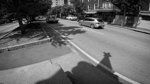 In the Shadow of Dixie