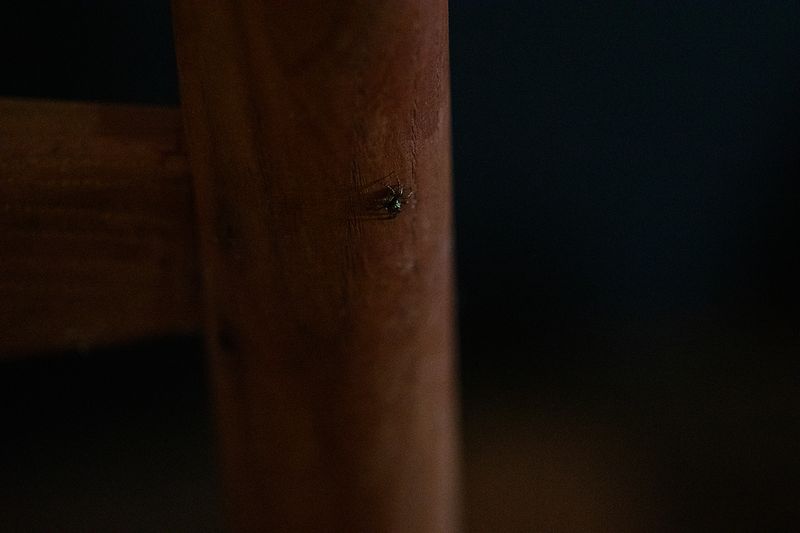 © Kat Alyst - Image from the mom. photography project