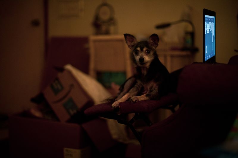 © Kat Alyst - Image from the mom. photography project