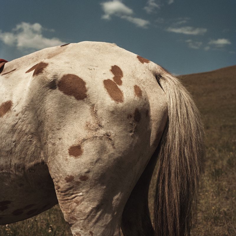 © annelie vandendael - Image from the Sois Belle photography project