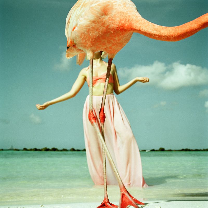 © annelie vandendael - sois belle (Aruba)
