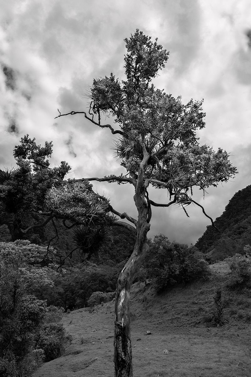 © Ingeborg Everaerd - Image from the Busquéda photography project