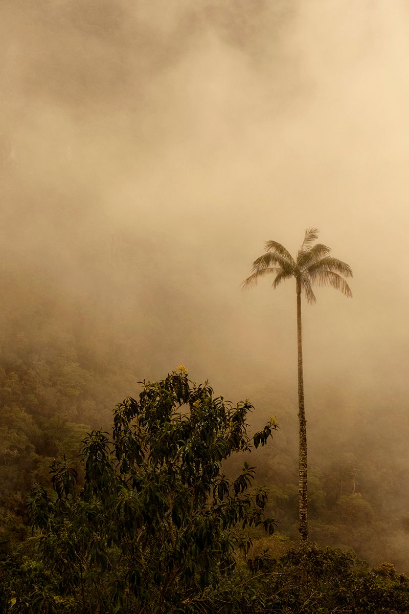 © Ingeborg Everaerd - Image from the Busquéda photography project