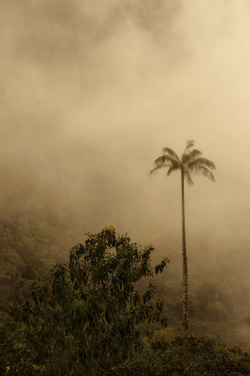 © Ingeborg Everaerd - Image from the Busquéda photography project