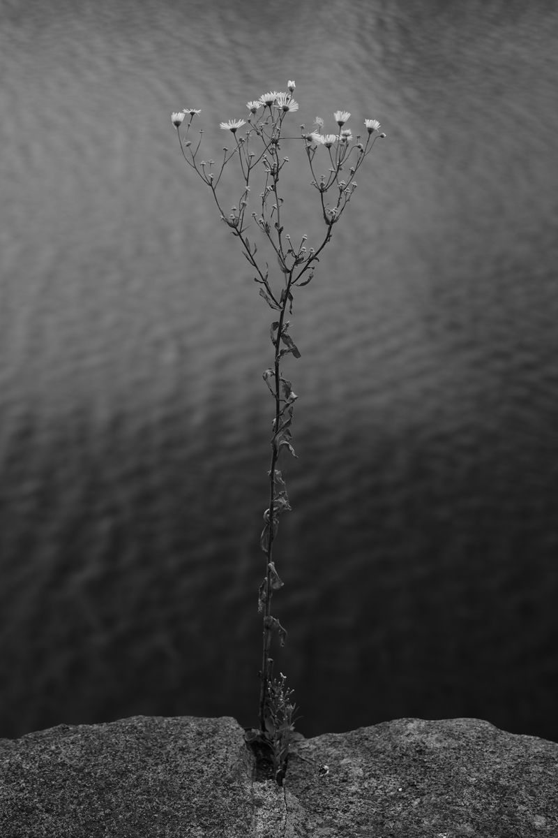 © Jakub Kolek - Image from the Open fracture of life photography project