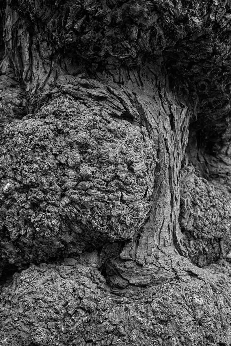 © Jakub Kolek - Image from the Open fracture of life photography project