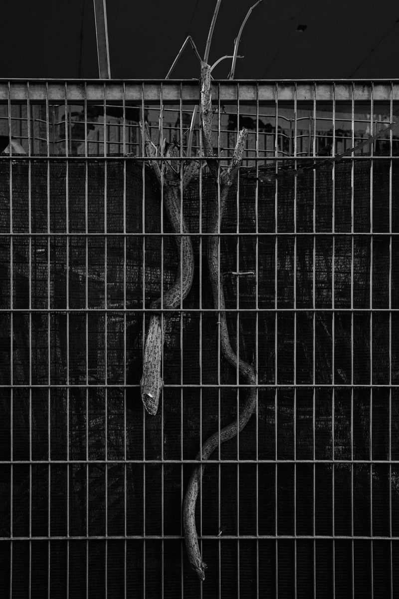 © Jakub Kolek - Image from the Open fracture of life photography project