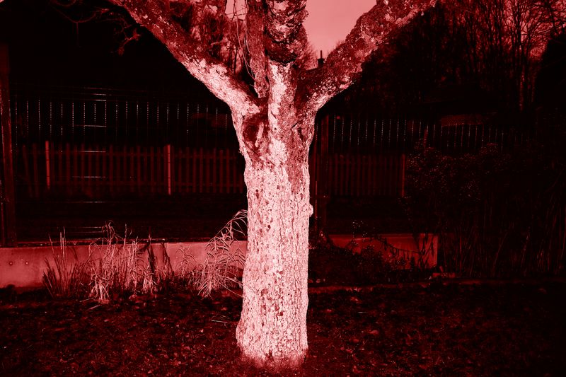 © Jakub Kolek - Image from the You Linger In Things photography project