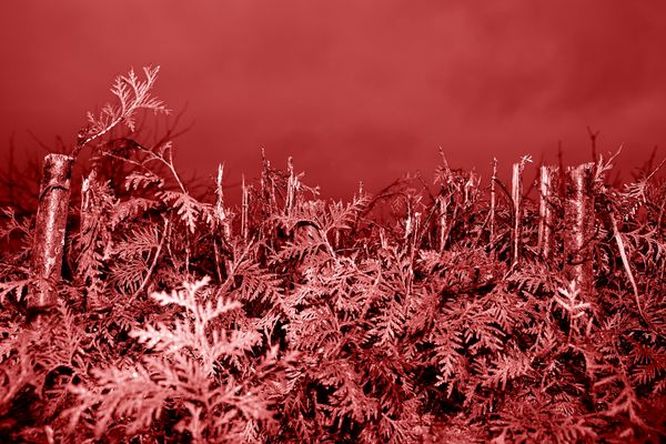 © Jakub Kolek - Image from the You Linger In Things photography project