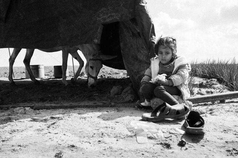 © Jost Franko - Image from the Farming in Gaza - Aftermath of war photography project