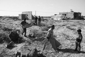 Farming in Gaza - Aftermath of war