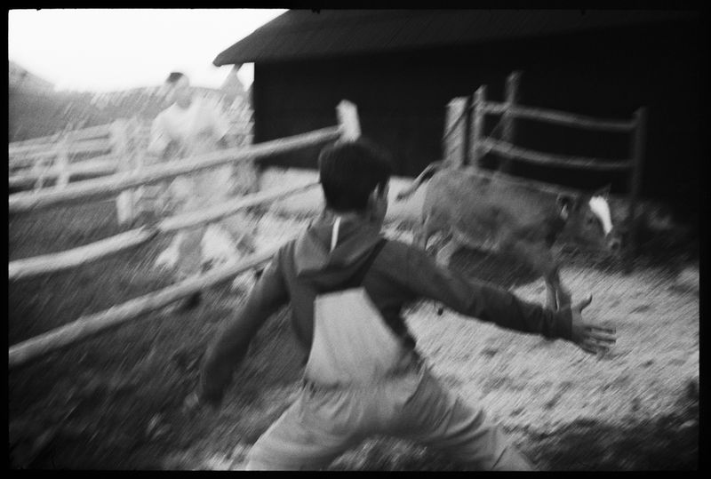 © Jost Franko - Image from the Shepherds photography project