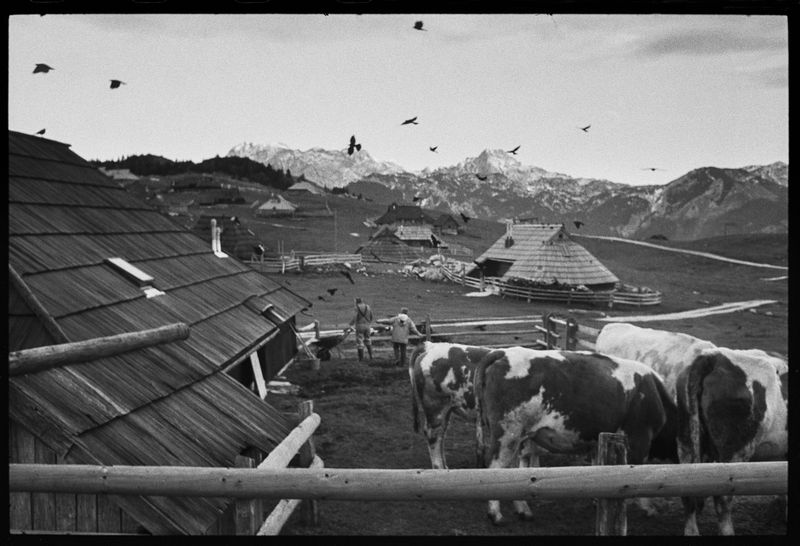 © Jost Franko - Shepherd and his granddaughter are seen at the front yard of their cottage.