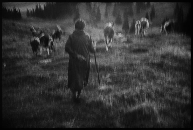 © Jost Franko - Image from the Shepherds photography project