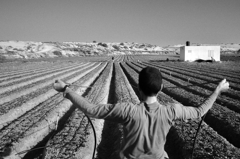 © Jost Franko - Image from the Farming in Gaza photography project
