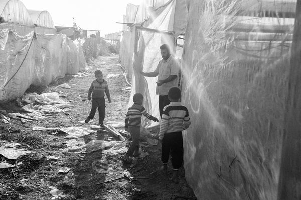 © Jost Franko - Image from the Farming in Gaza photography project