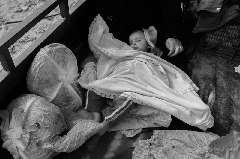 © Jost Franko - Image from the Farming in Gaza photography project