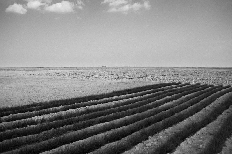 © Jost Franko - Image from the Farming in Gaza photography project