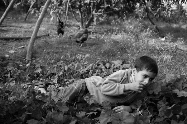 © Jost Franko - Image from the Farming in Gaza photography project