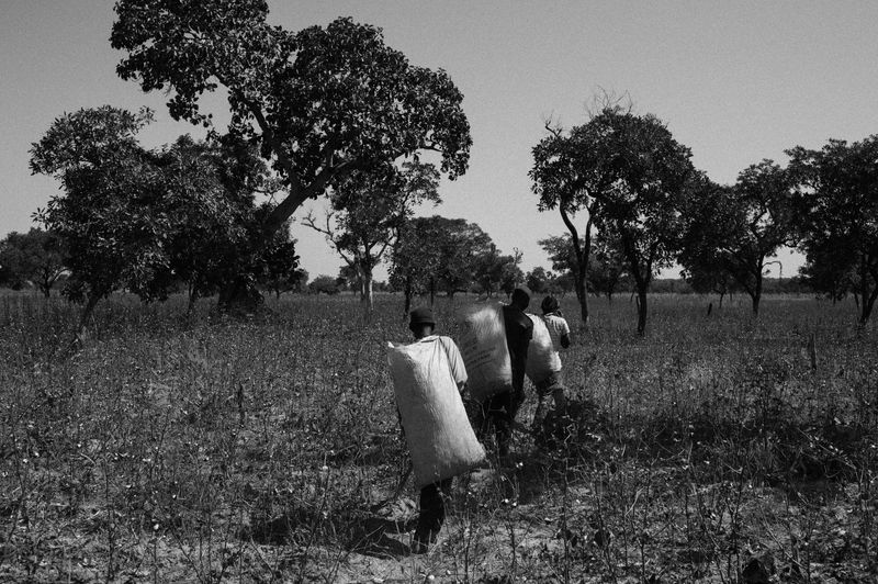 © Jost Franko - Image from the Cotton black, cotton blue photography project