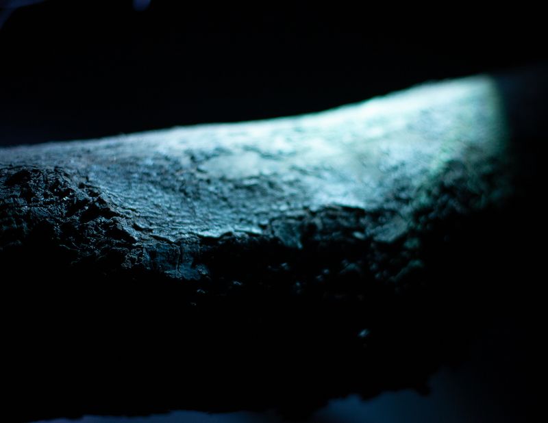 © Ryan Andrew - Cold land