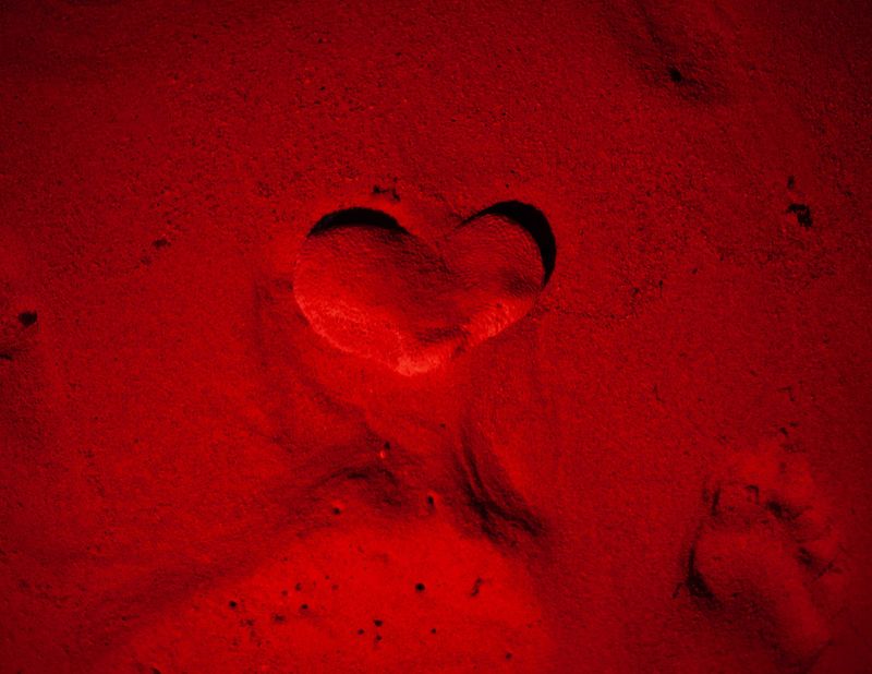 © Ryan Andrew - Bleeding in a shore, Its heartbeat thinning like sand blown away, 2025.