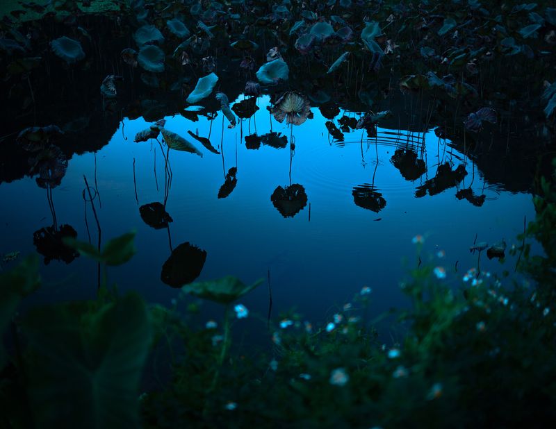 © Ryan Andrew - The blue soliloquy, 2024.