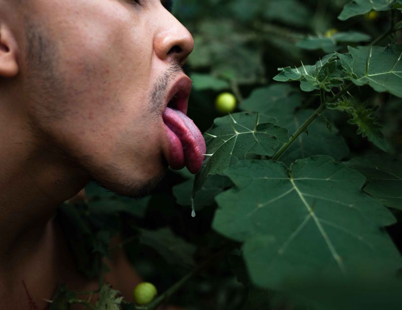 © Ryan Andrew - A taste of sting, Self- portrait in the forest, 2024.