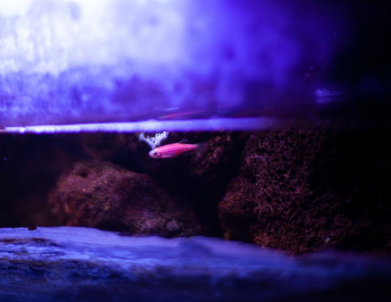 © Ryan Andrew - Breathe to the surface, 2024.