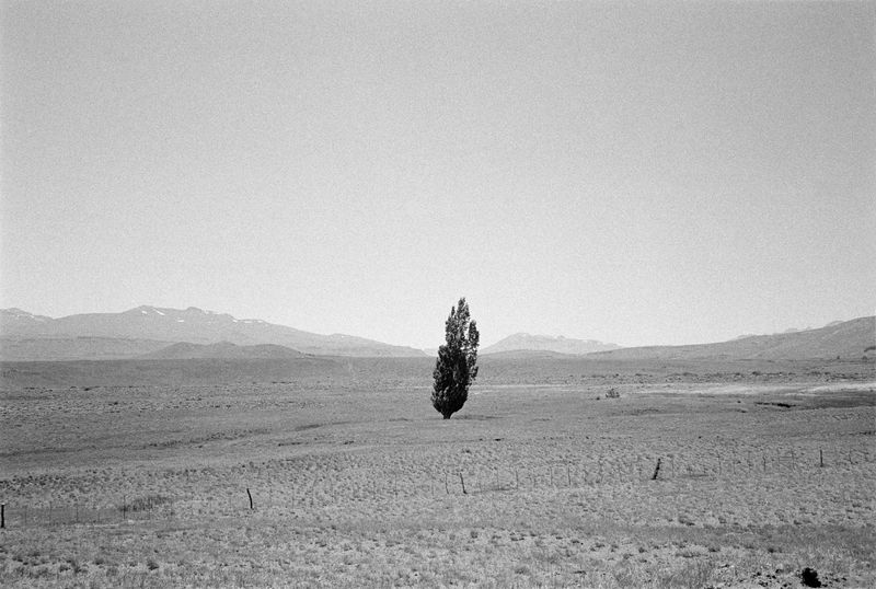 © Martín Estol - Image from the Leve photography project