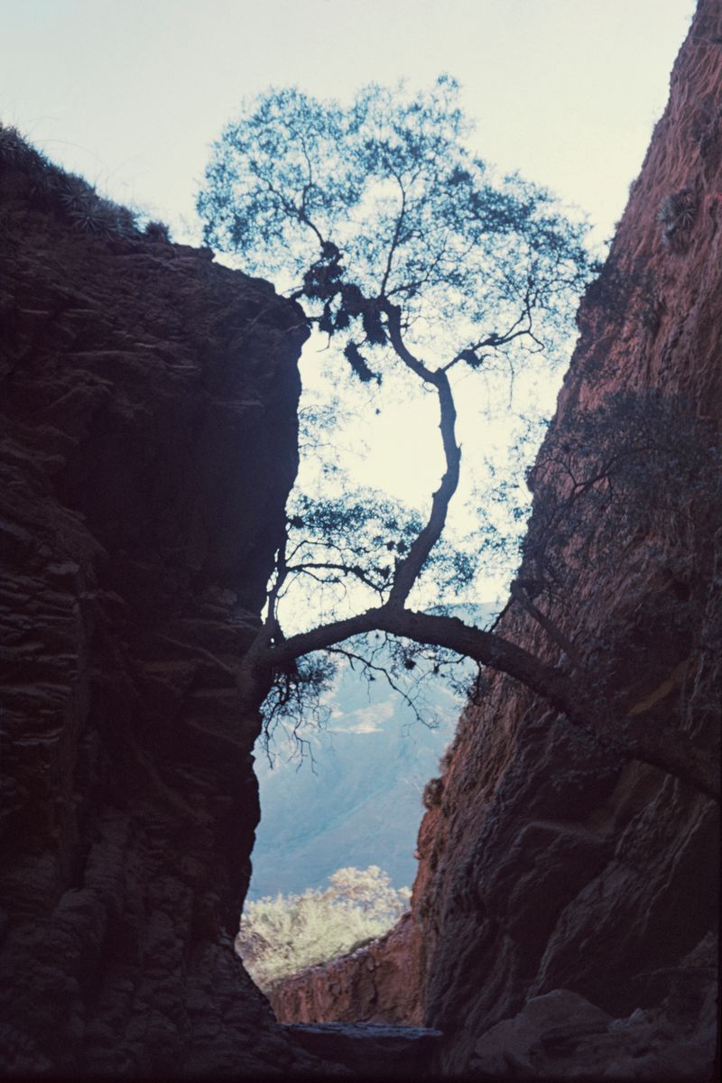 © Martín Estol - Image from the Leve photography project