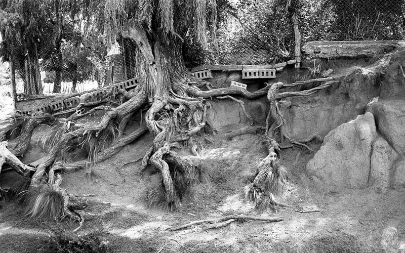 © Martín Estol - Image from the Paisaje photography project