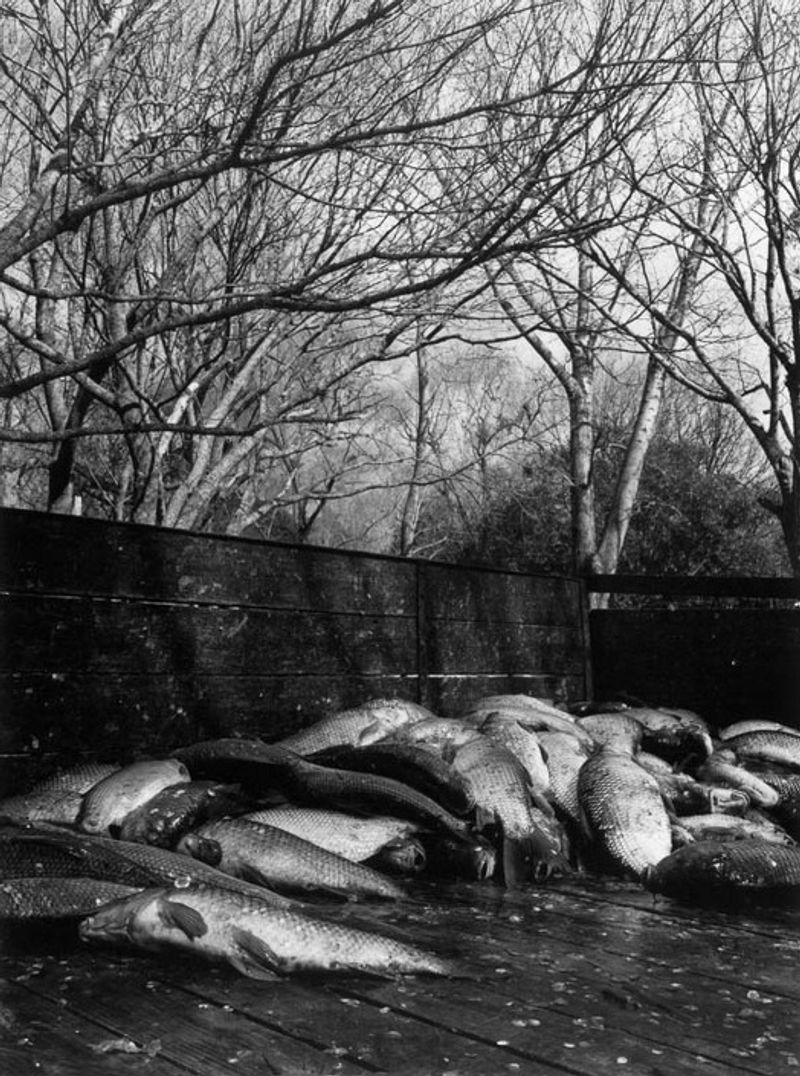 © Martín Estol - Image from the Paisaje photography project