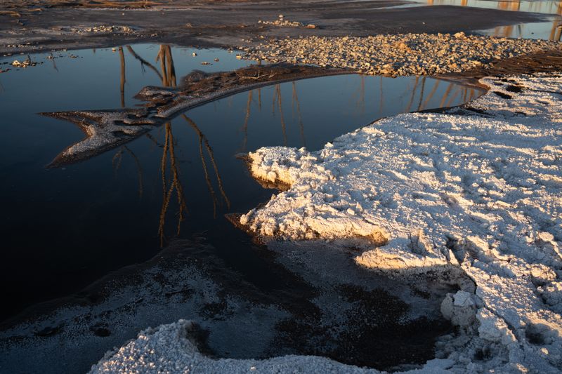 © Martín Estol - Salt crystallizations. Epecuén Lake, Buenos Aires Province.