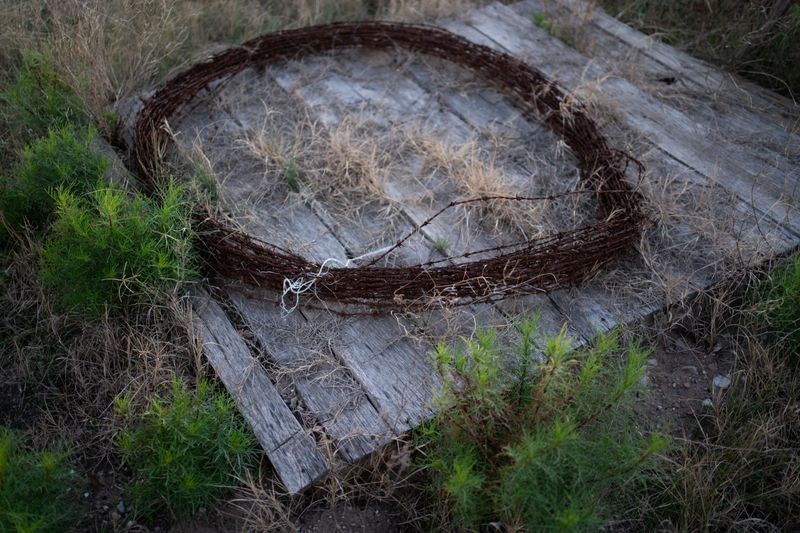 © Martín Estol - Barbed wire. Outskirts of Carhué, Buenos Aires Province.