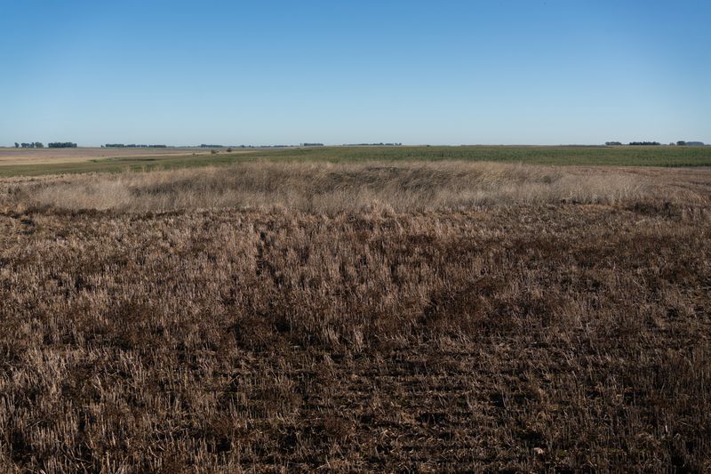 © Martín Estol - Remains of the Outpost Recompensa. Guaminí, Buenos Aires Province.